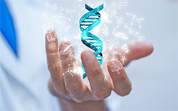 赤壁哪个医院可以做DNA亲子鉴定，赤壁医院办理DNA亲子鉴定基本流程